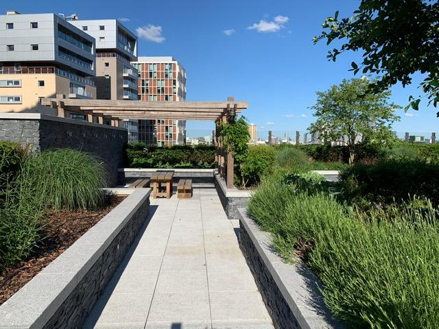 Communal Terrace
