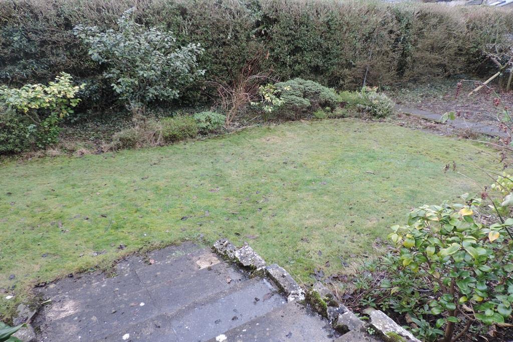 Garden2.jpg
