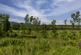 Additional image 16 of Pitcaple AB51