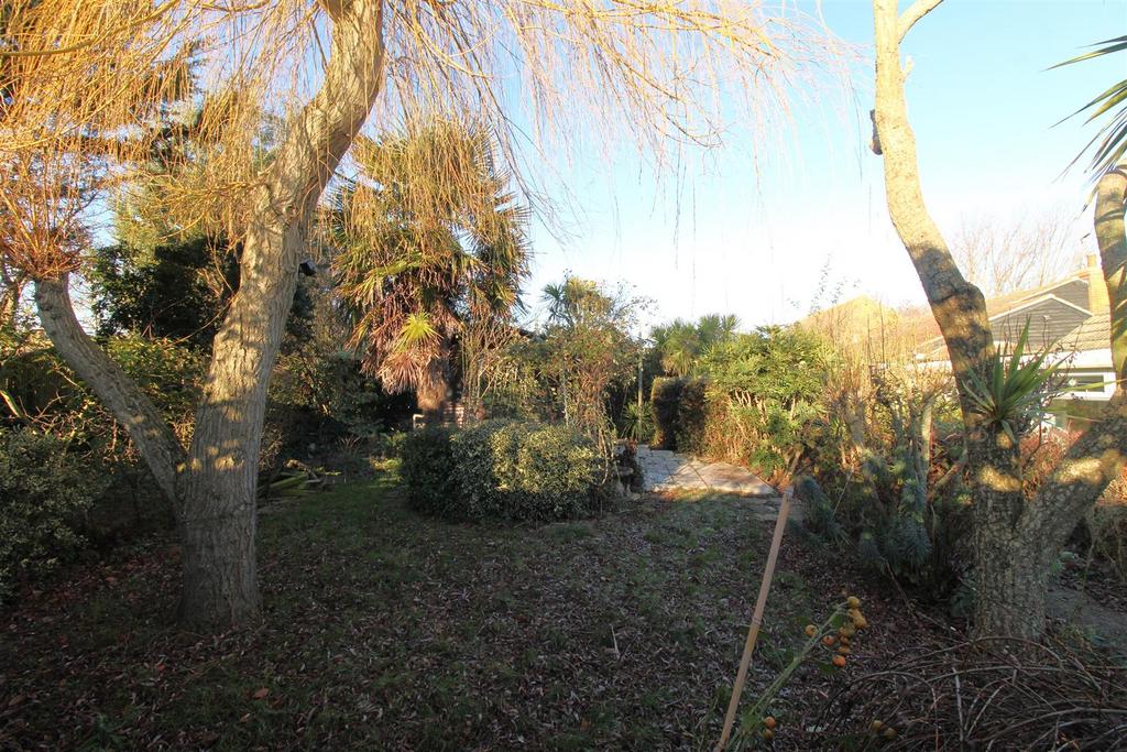 Garden 3.JPG