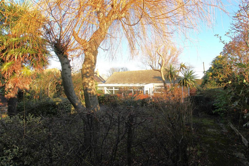 Garden 5.JPG