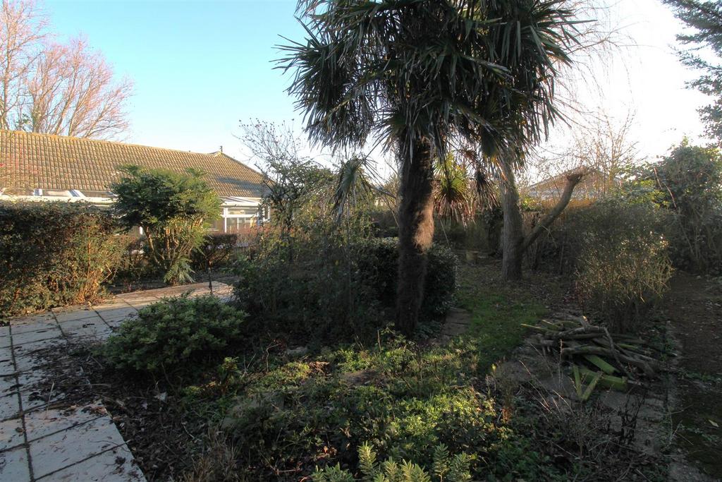 Garden 7.JPG