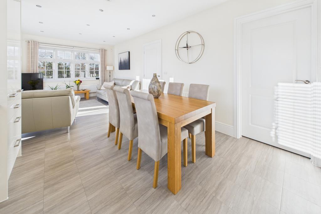 Kitchen / Dining / Living Area
