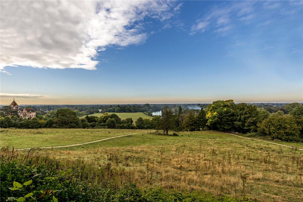 Petersham Meadows