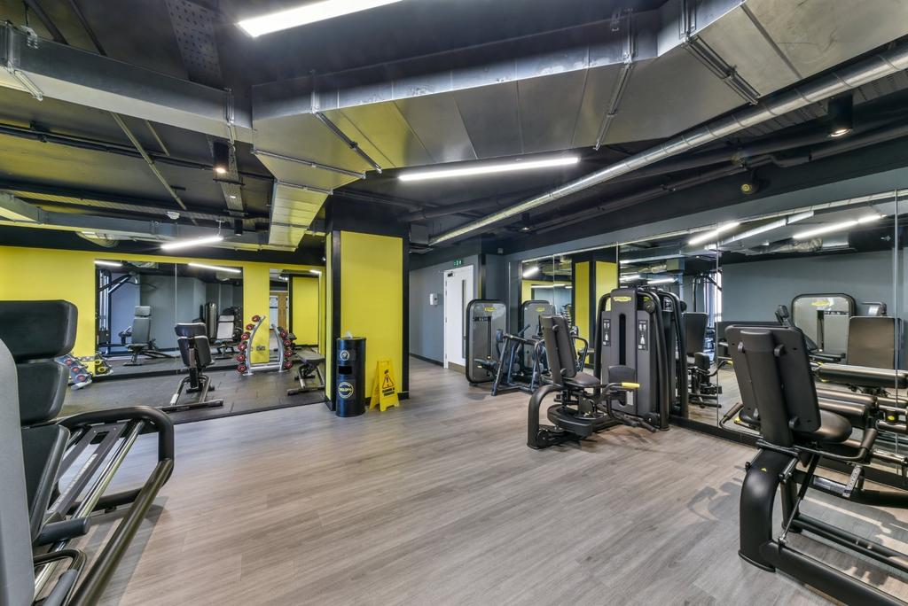 Gymnasium