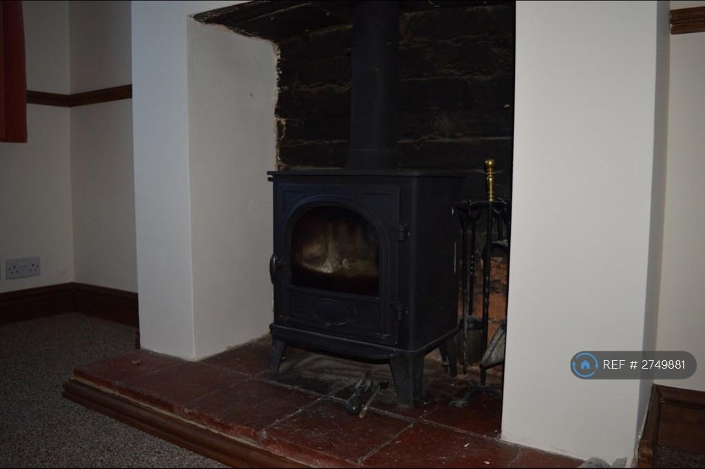 Log Burner