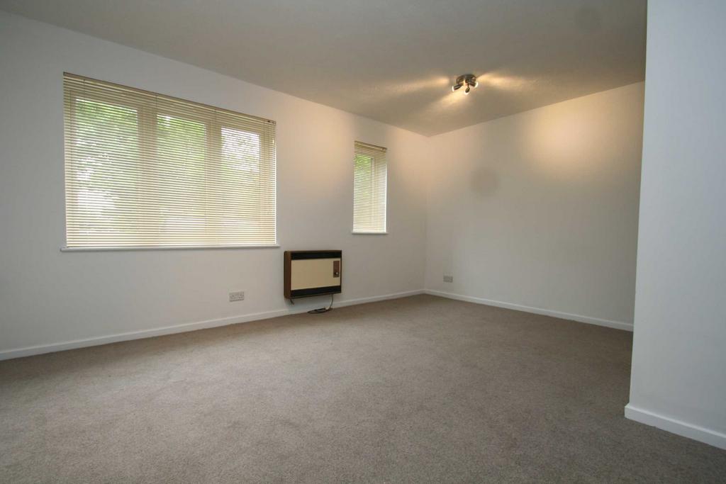 Studio Room