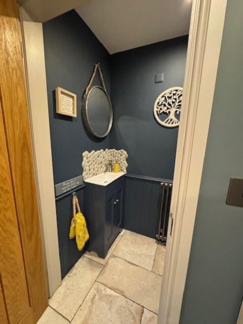 Ds toilet 1
