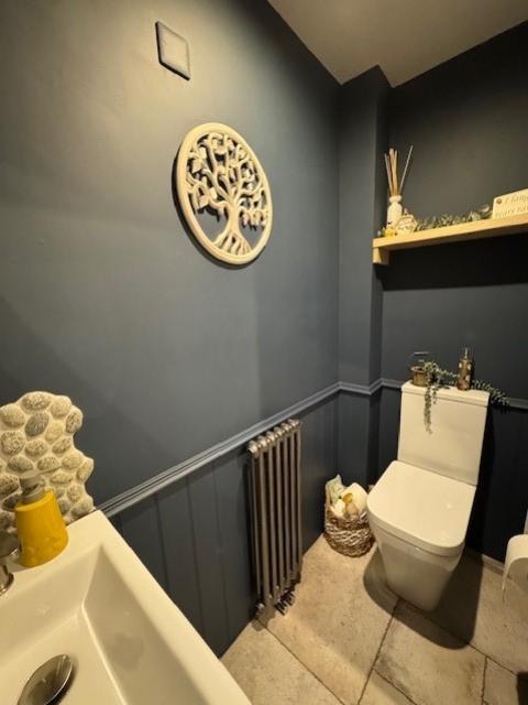 Ds toilet 2