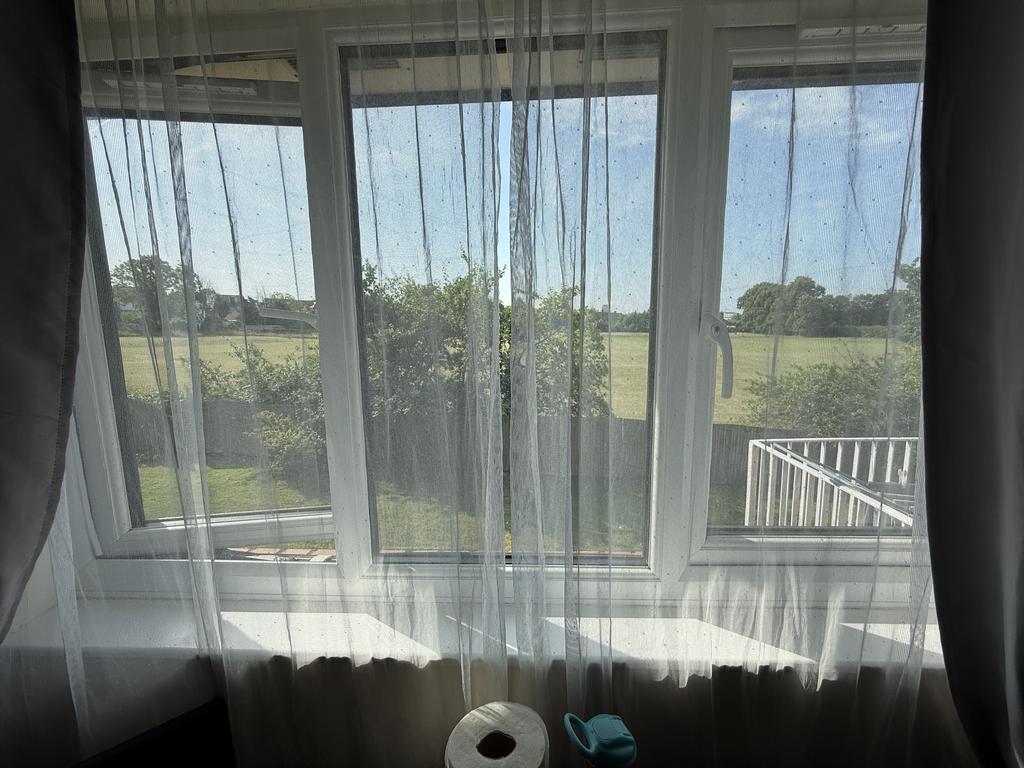 View from Lounge