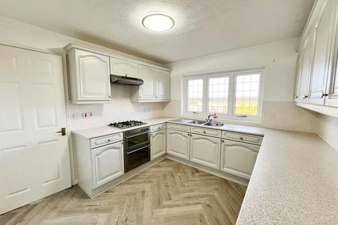 undefined, Whitworth Meadow, Spennymoor