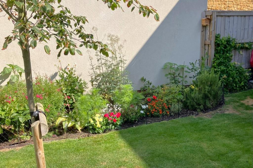 Summer border