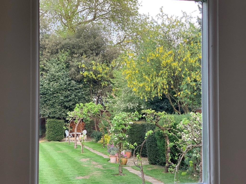 Summer Garden