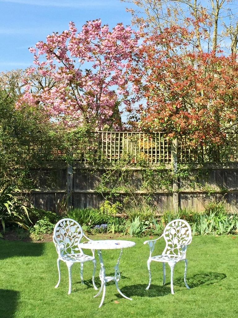 Summer Garden
