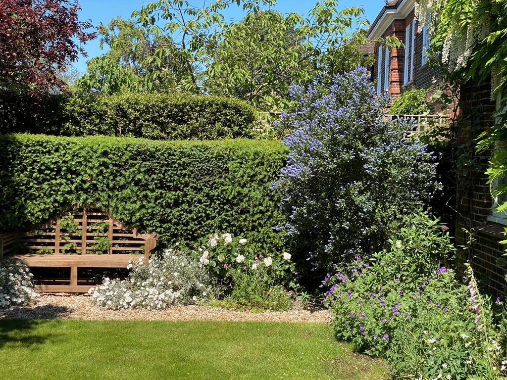 Summer Garden