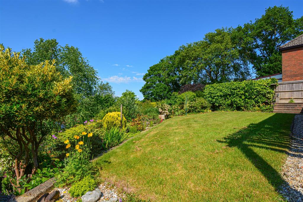 DSC 1094.jpg