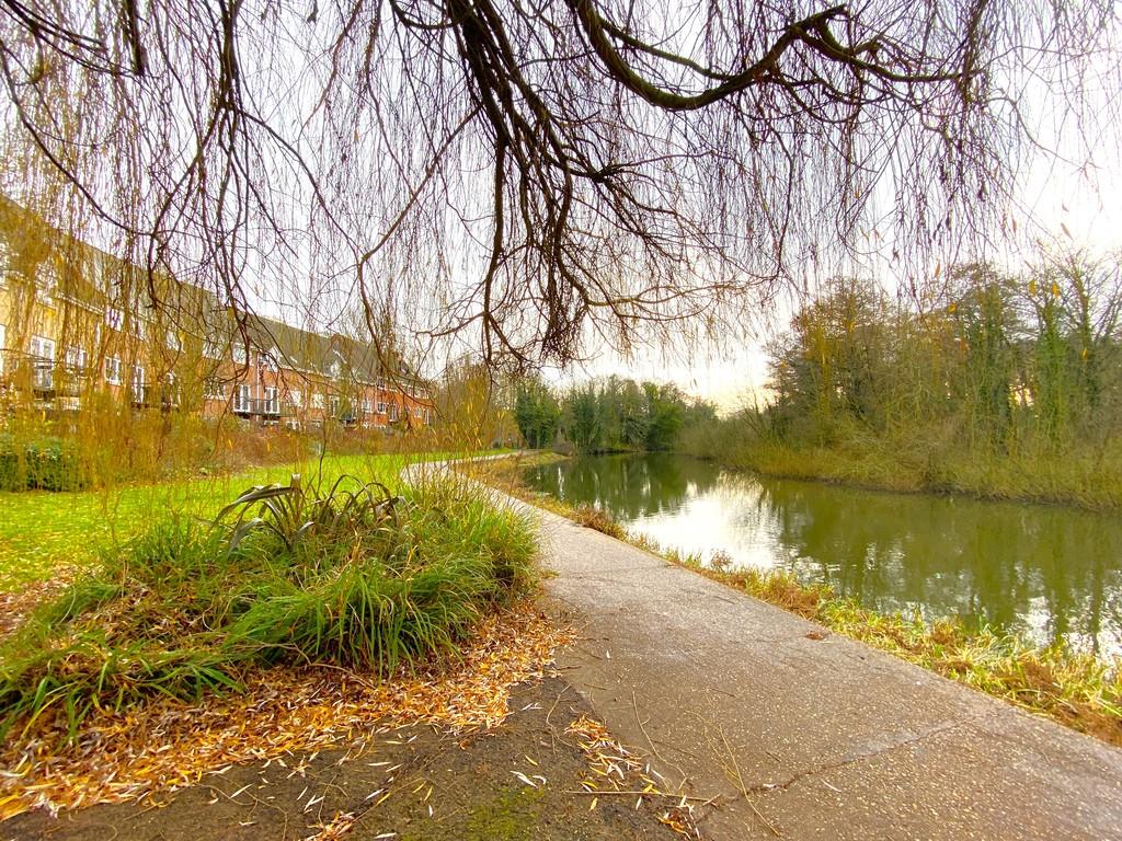 Residents Riverside garden