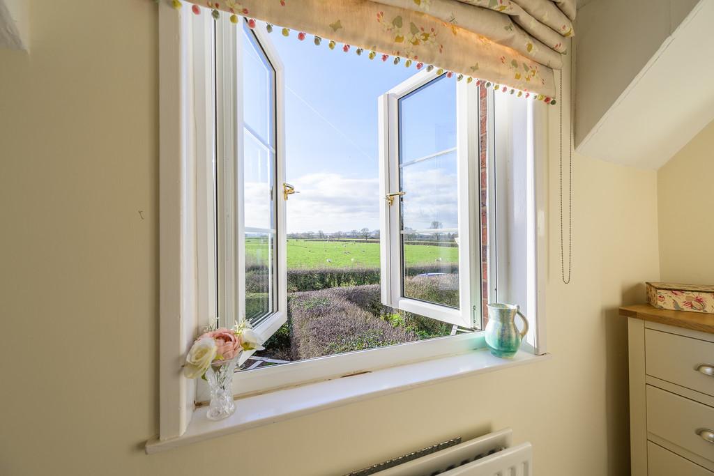 Views from Bedroom