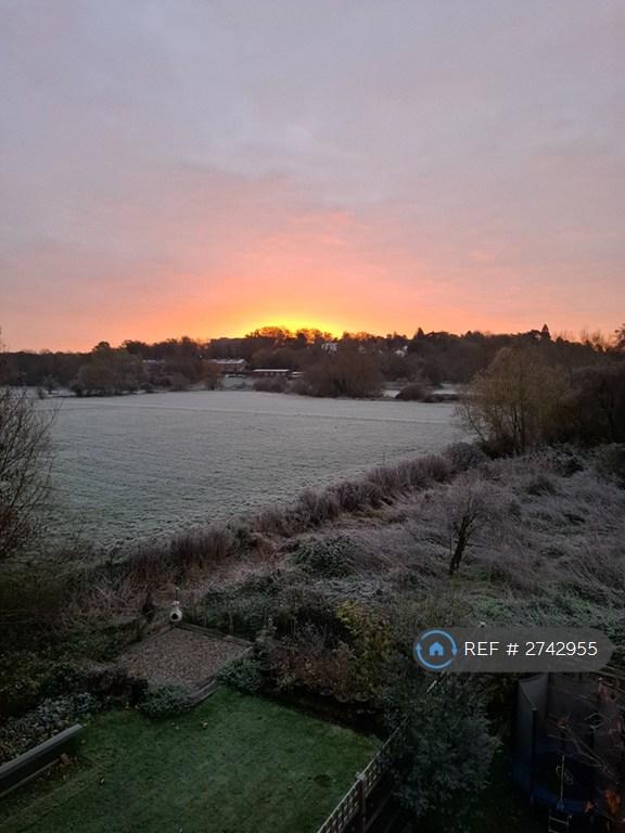 View From The Master Bedroom