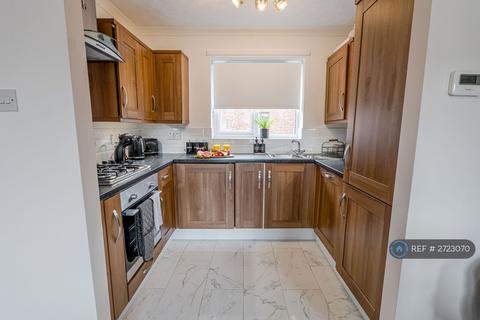 2 bedroom semi-detached house to rent, Catalina Drive, Poole, BH15