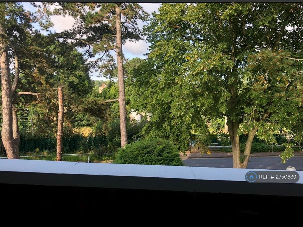 Patio &amp; View