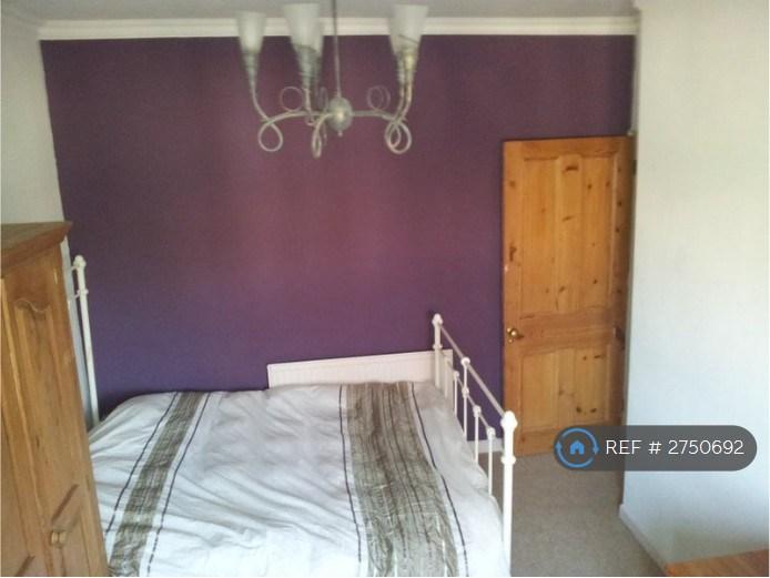 Room For Rent!