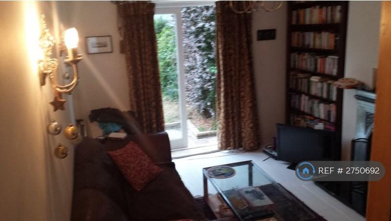 Tv Room