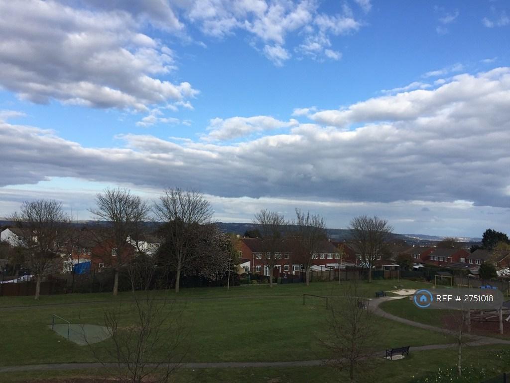 View From Living Room
