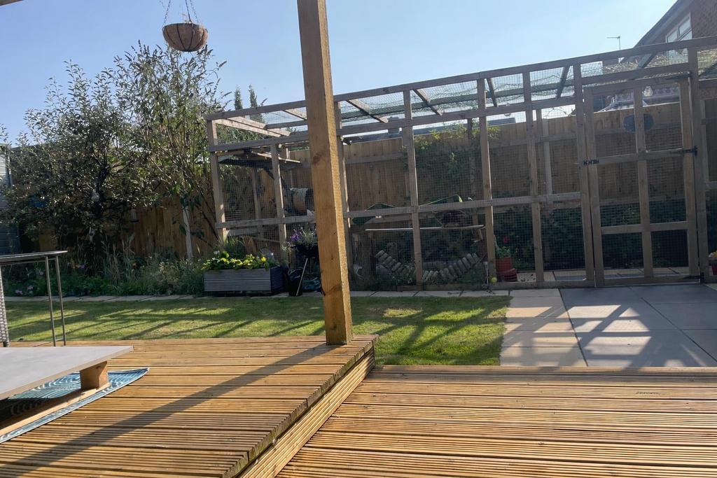 Summer garden.png
