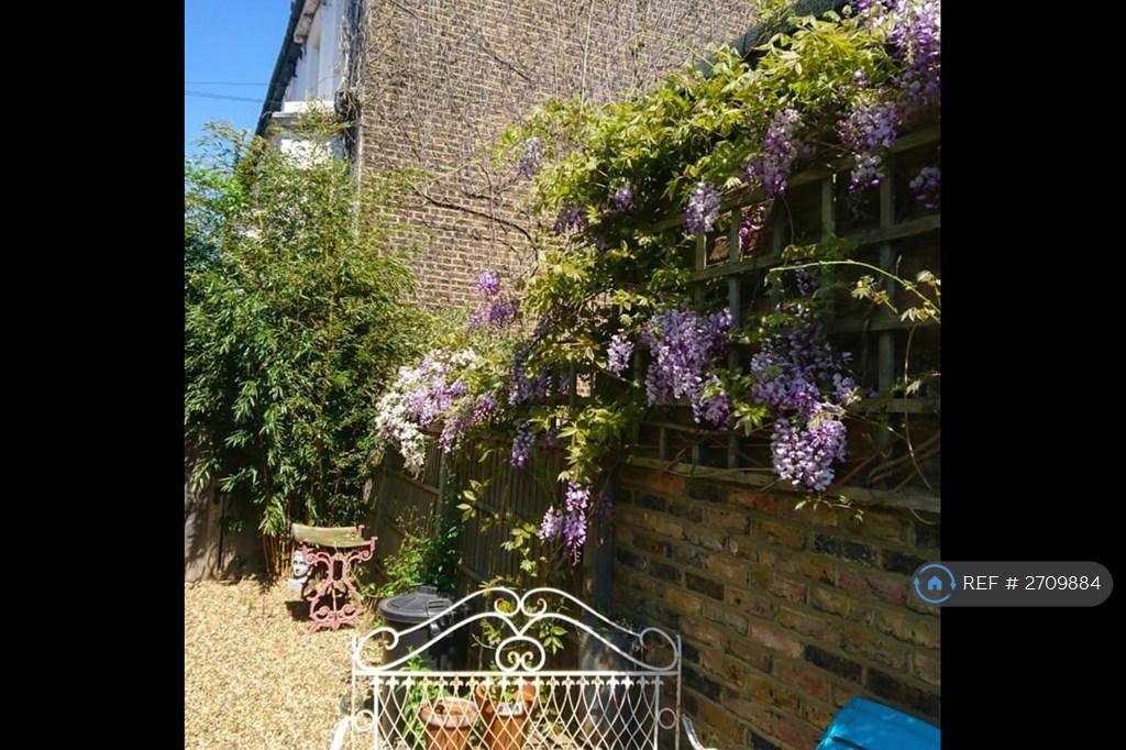 The Garden In Summer