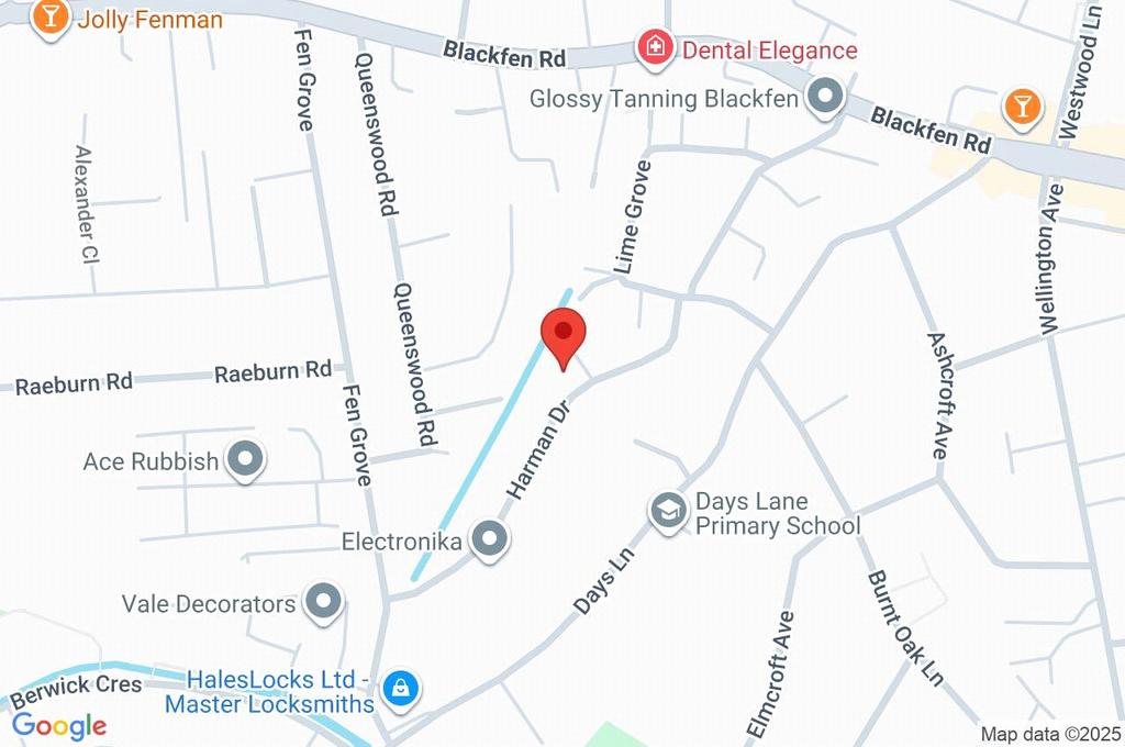 Google Maps Image