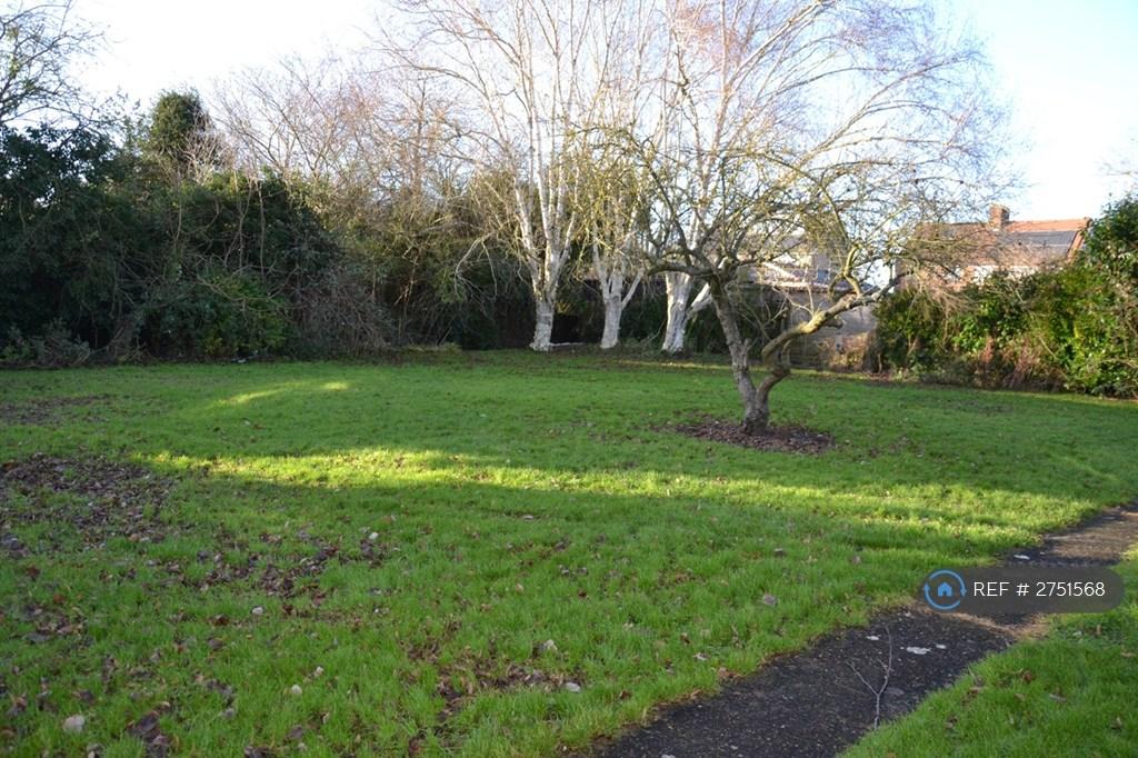 Huge Communal Back Garden