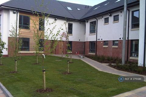 undefined, Calder Street, Blantyre, Glasgow, G72