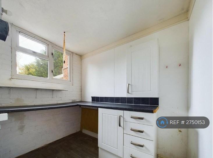 Kitchen Extension Storage