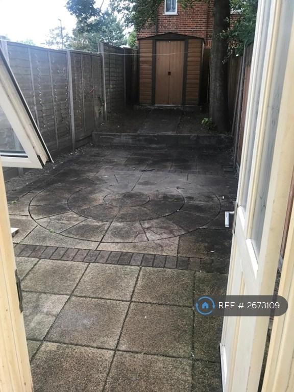 Back Garden