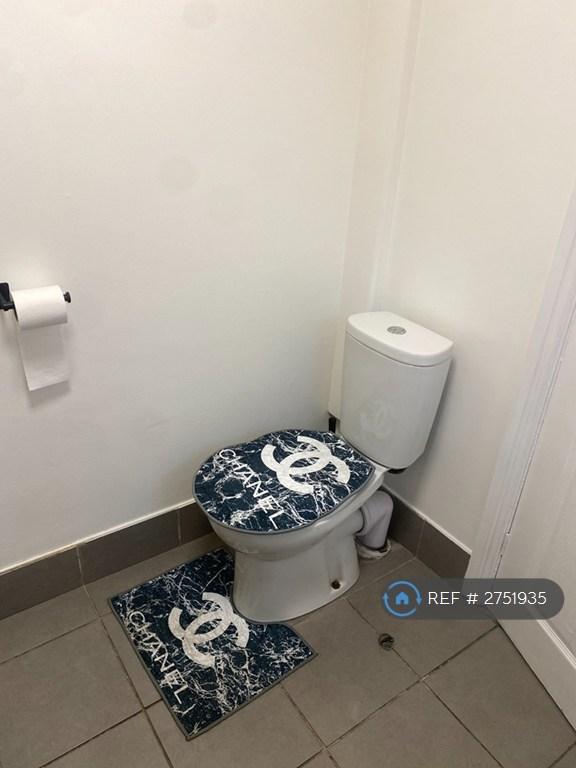 Ground Toilet