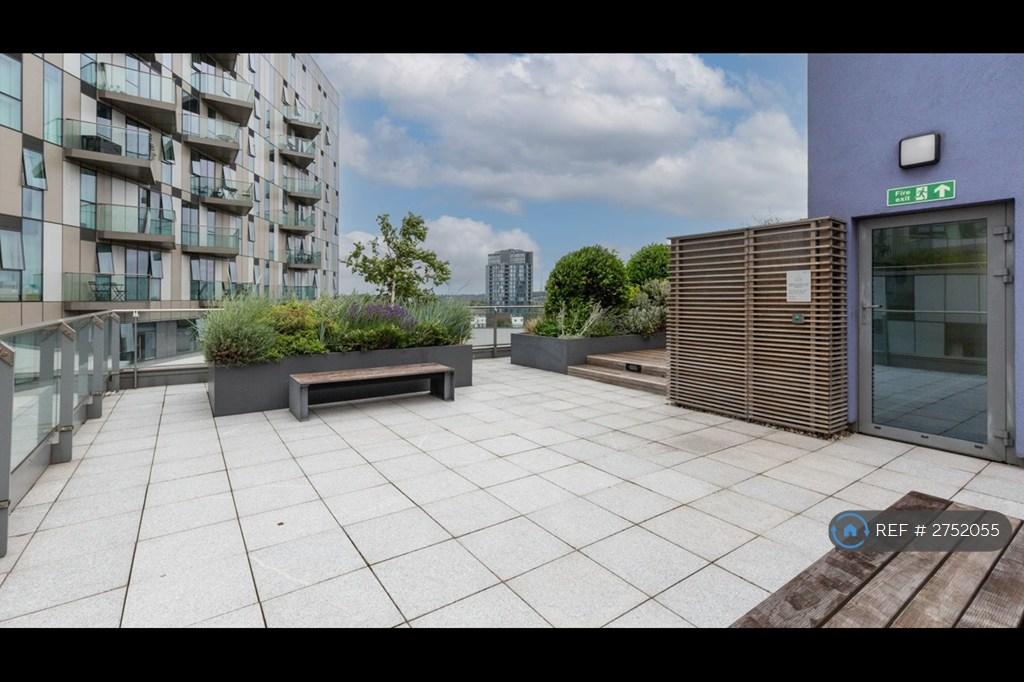 Roof Garden 3