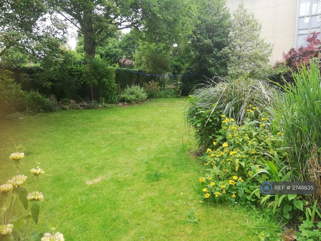Communal Garden