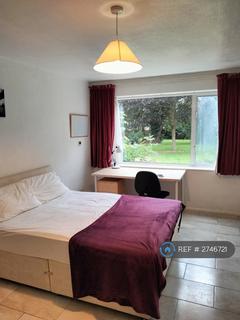 4 bedroom semi-detached house to rent, Lichen Green Canon Park, Coventry, CV4