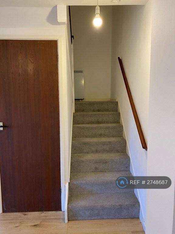 Stairs Downstairs