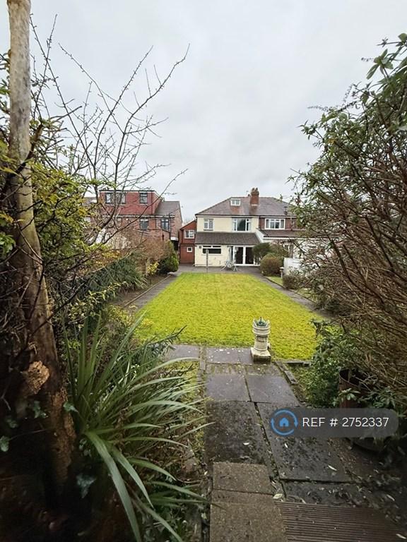 Back Garden