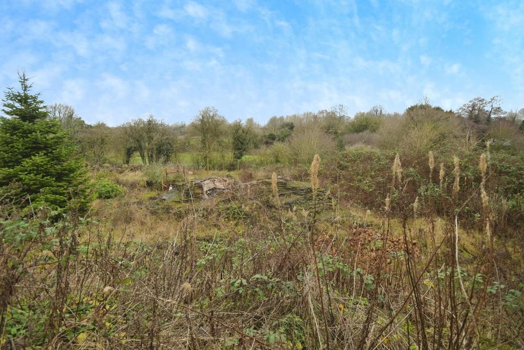 REAR GARDEN 07.jpg