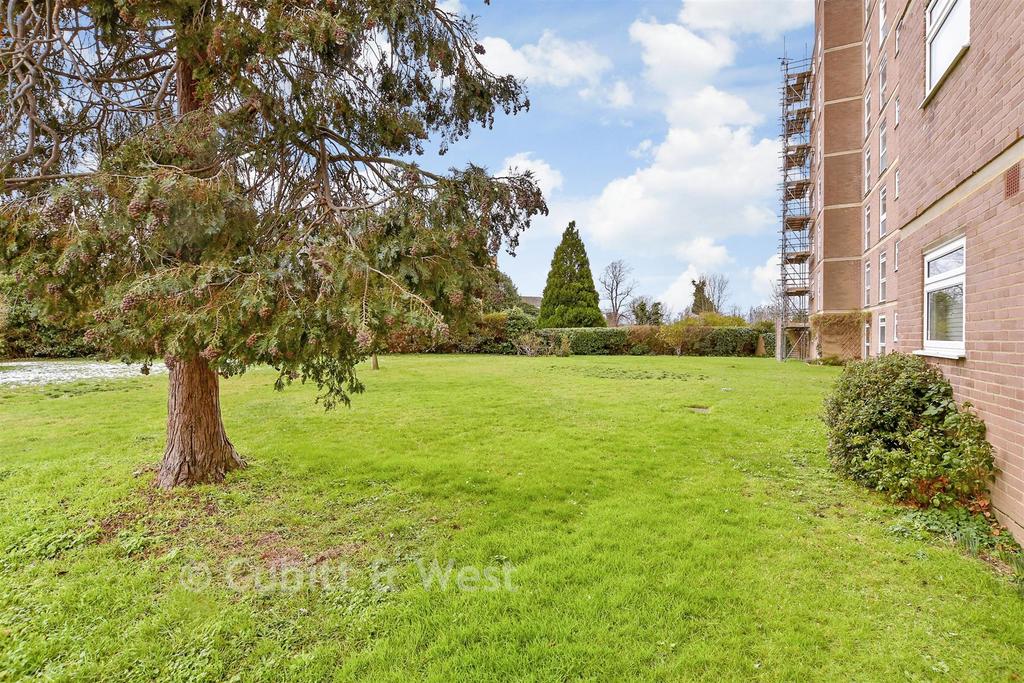 Communal Gardens