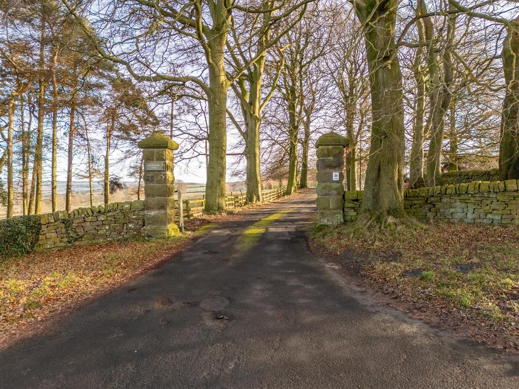 DJI 20260108120149 0176 D-HDR.jpg