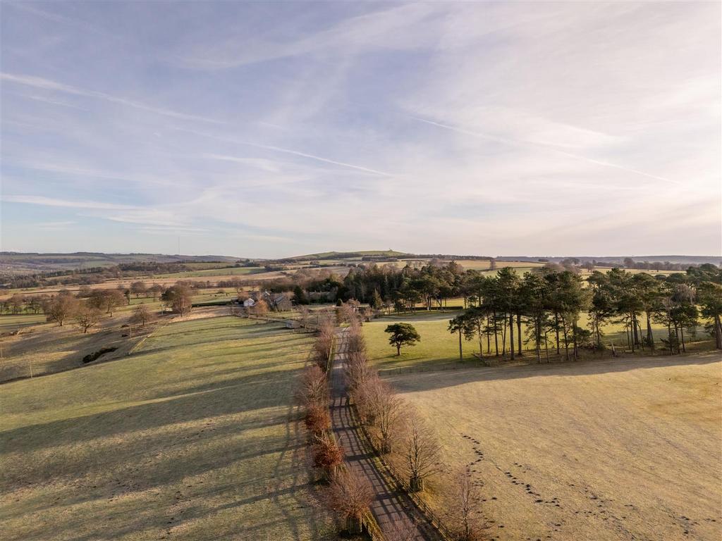 DJI 20260108120219 0181 D-HDR.jpg