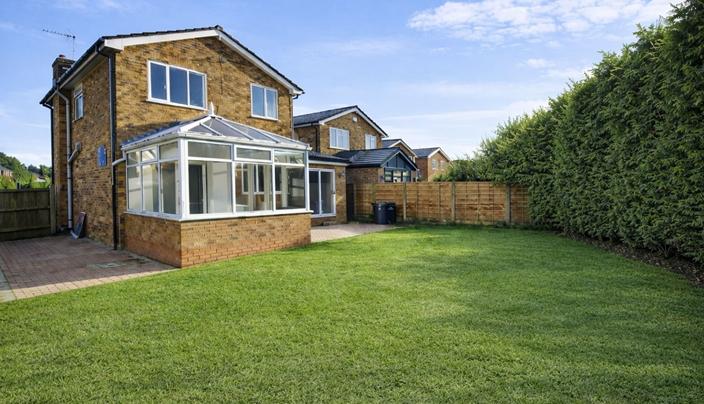 Rear Elevation