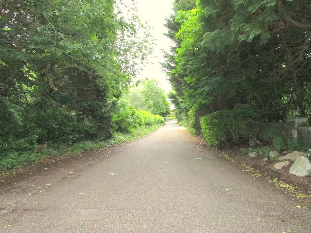 Road.jpg