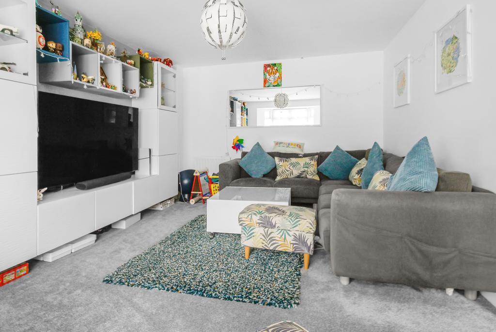 4flycatcherlarge8