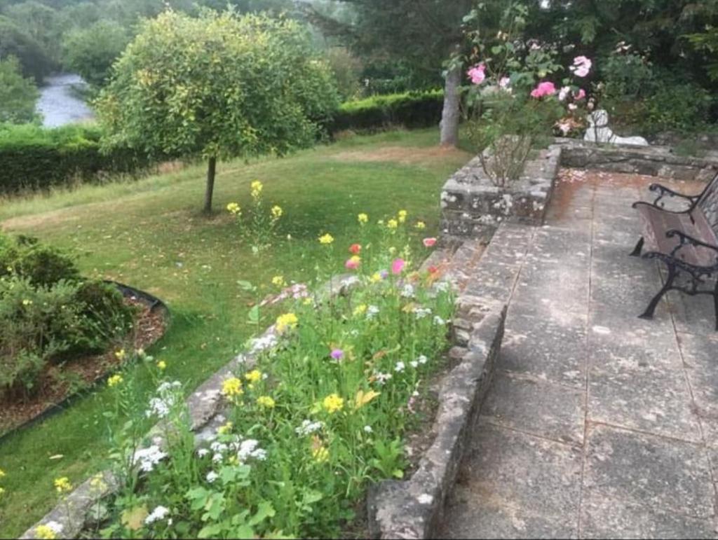 Garden (fourth image)