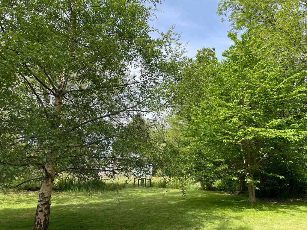 Garden (fifth image)